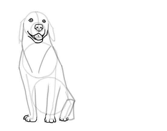 A ink drawing of a dog